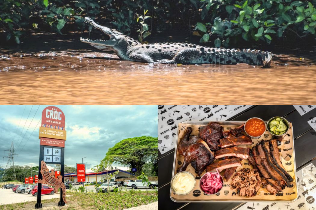 Crock Skywalk | Costa Rica