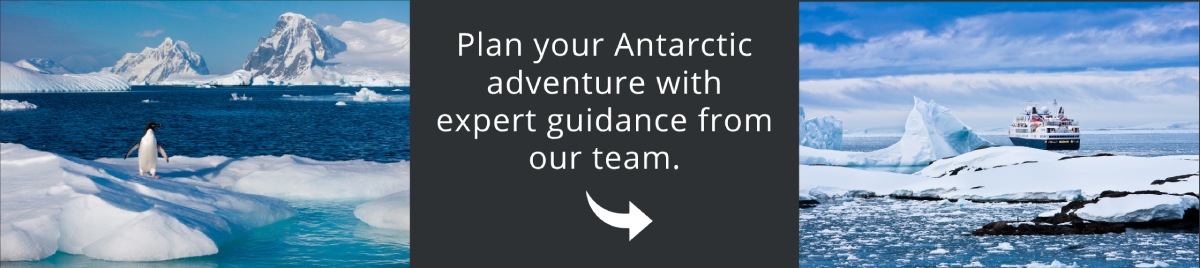 Come and visit Antarctica with us!