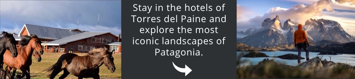 Visit Patagonia