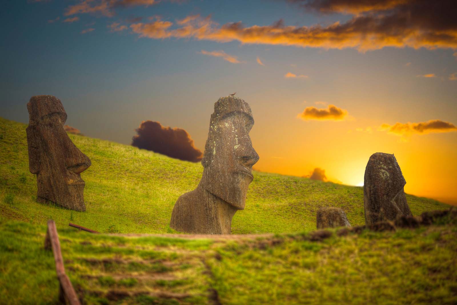 Moai statues | Easter Island | Chile