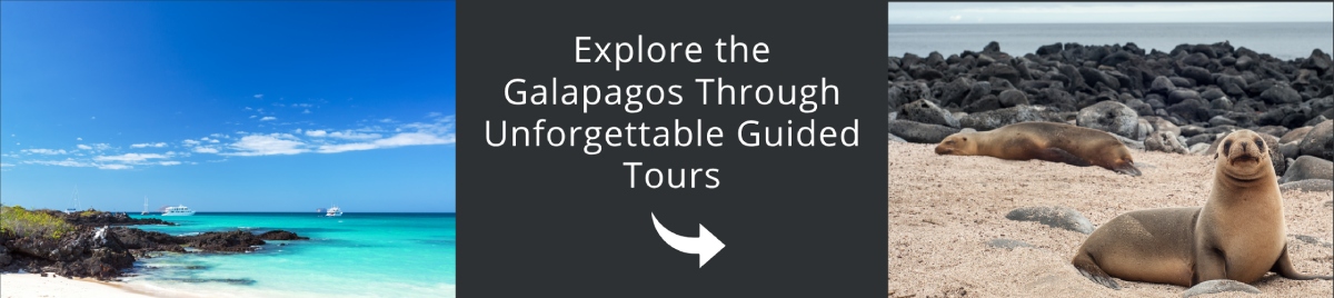 Visit Galapagos
