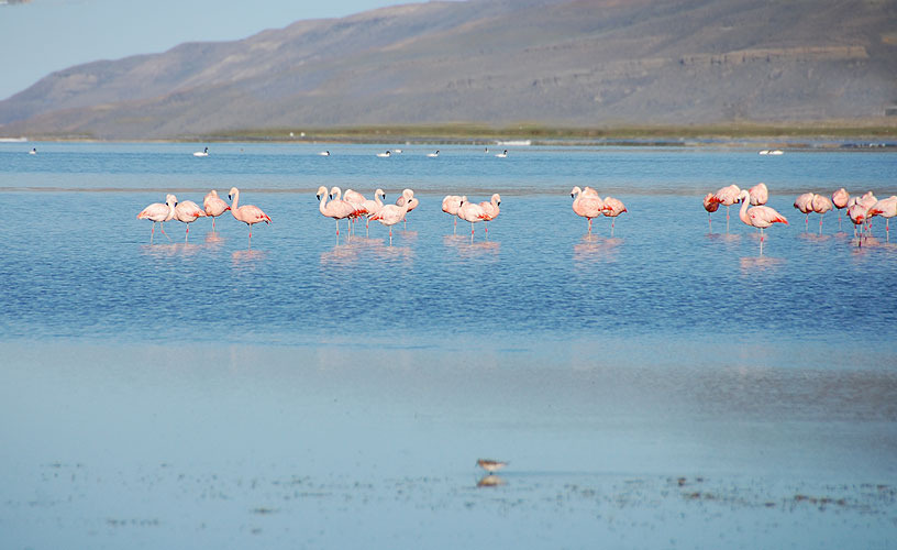 The Laguna Nimez Municipal Ecological Reserve