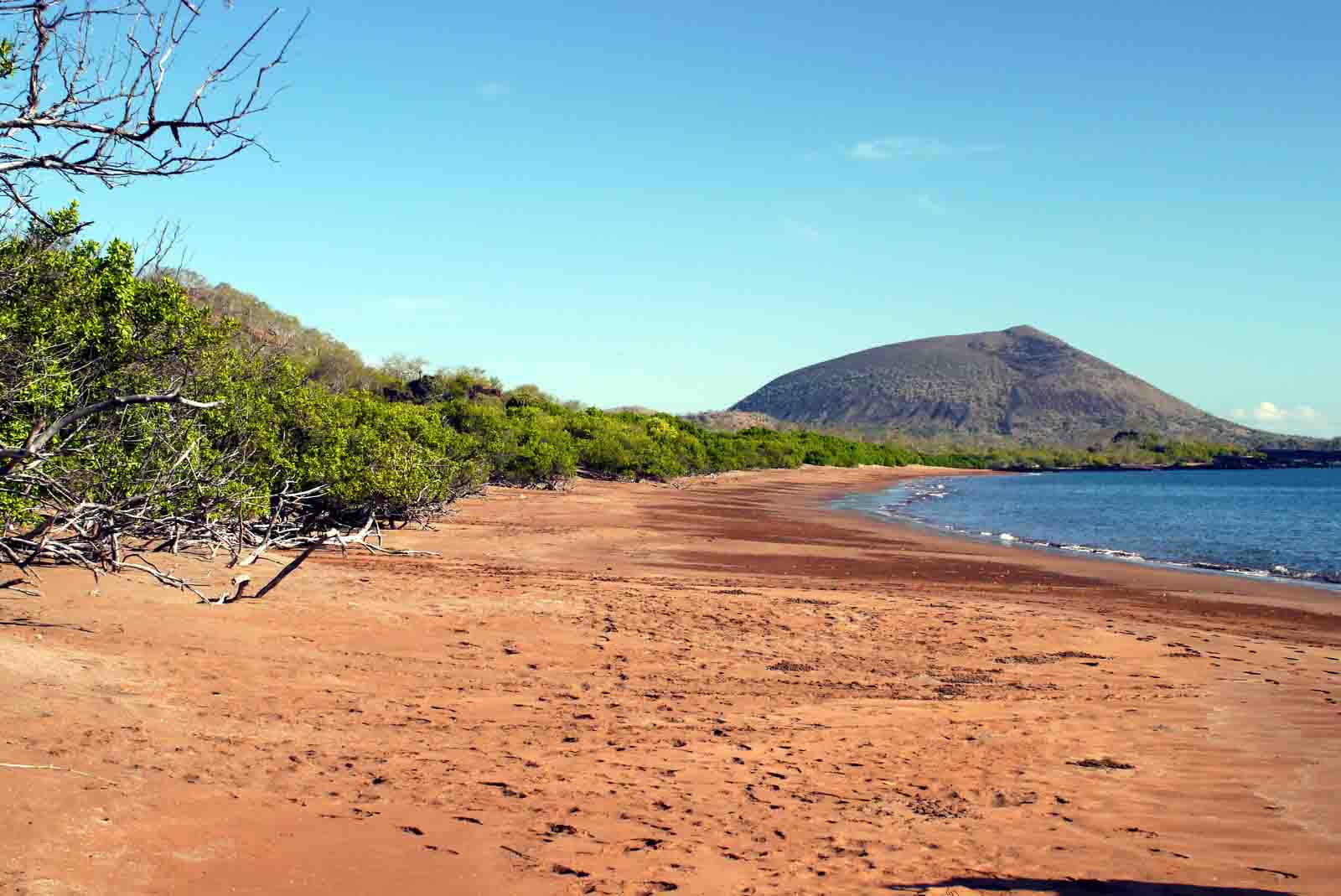 Espumilla Beach - Galapagos