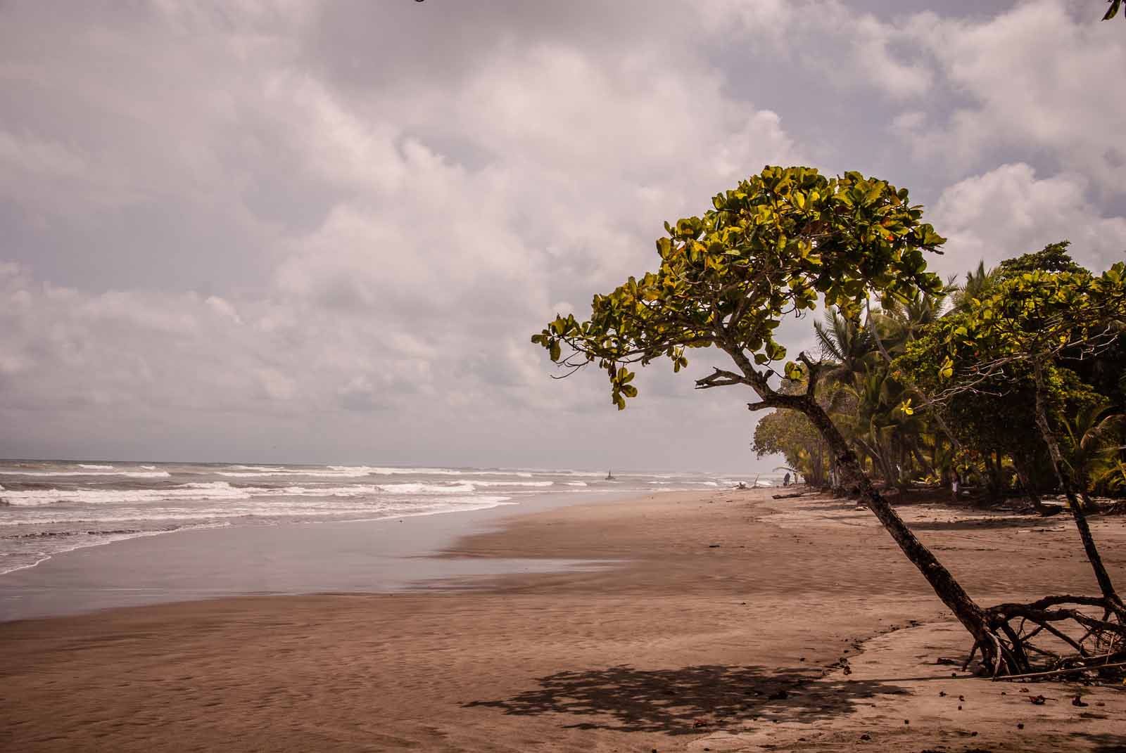 Esterillos Beach | Costa Rica
