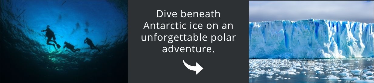 Visit Antarctica