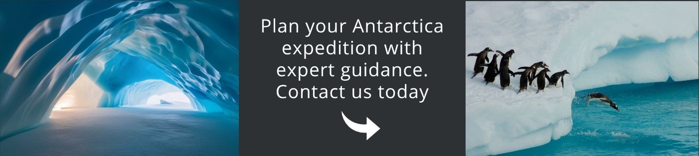 Come and visit Antarctica with us!