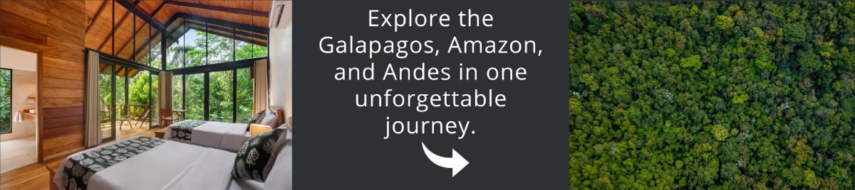Visit Antarctica