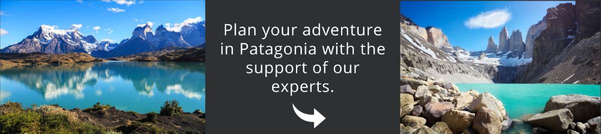 Come and visit Patagonia with us!