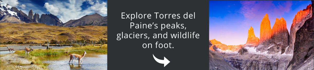 Visit Chile