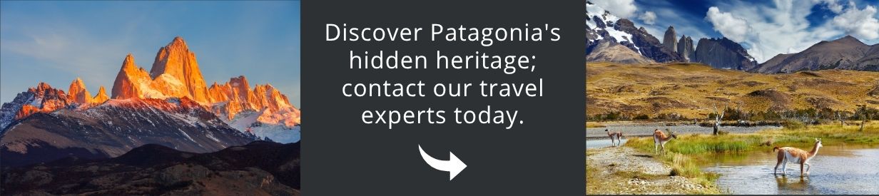 Come and visit Patagonia with us!