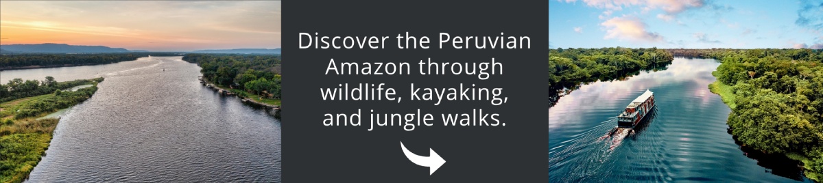 Visit Amazon