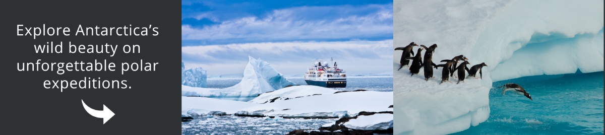 Visit Antarctica
