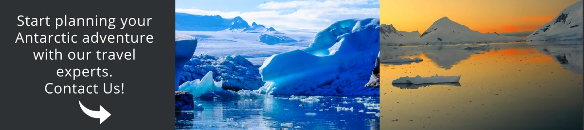 Come and visit Antarctica with us!