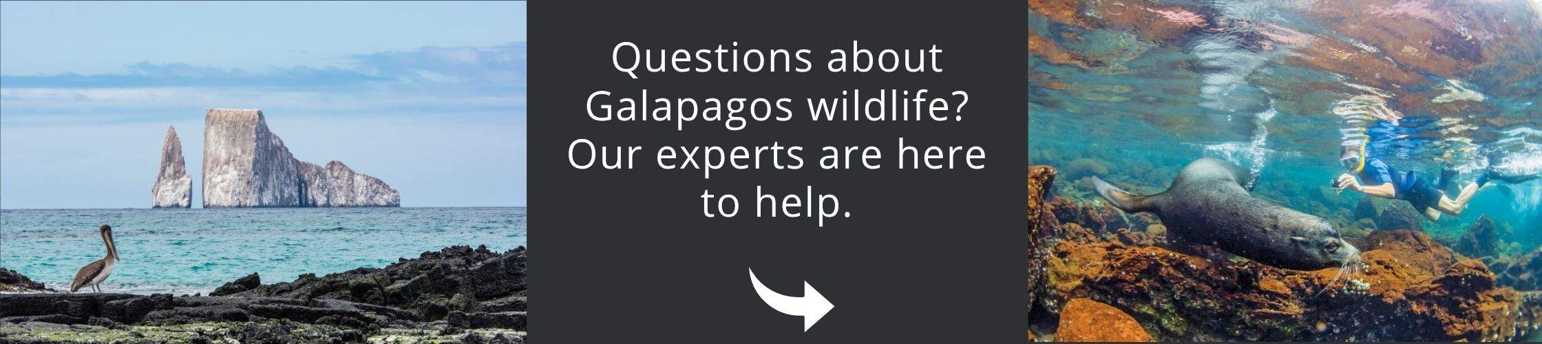Come and visit Patagonia with us!