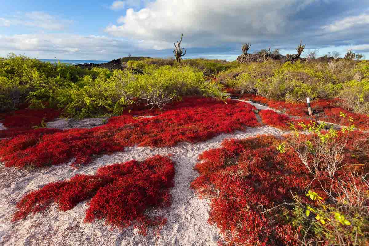 Floreana Islands | Galapagos
