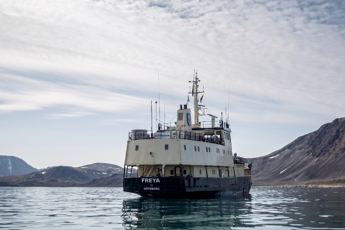 Freya | Secret Atlas | Artic