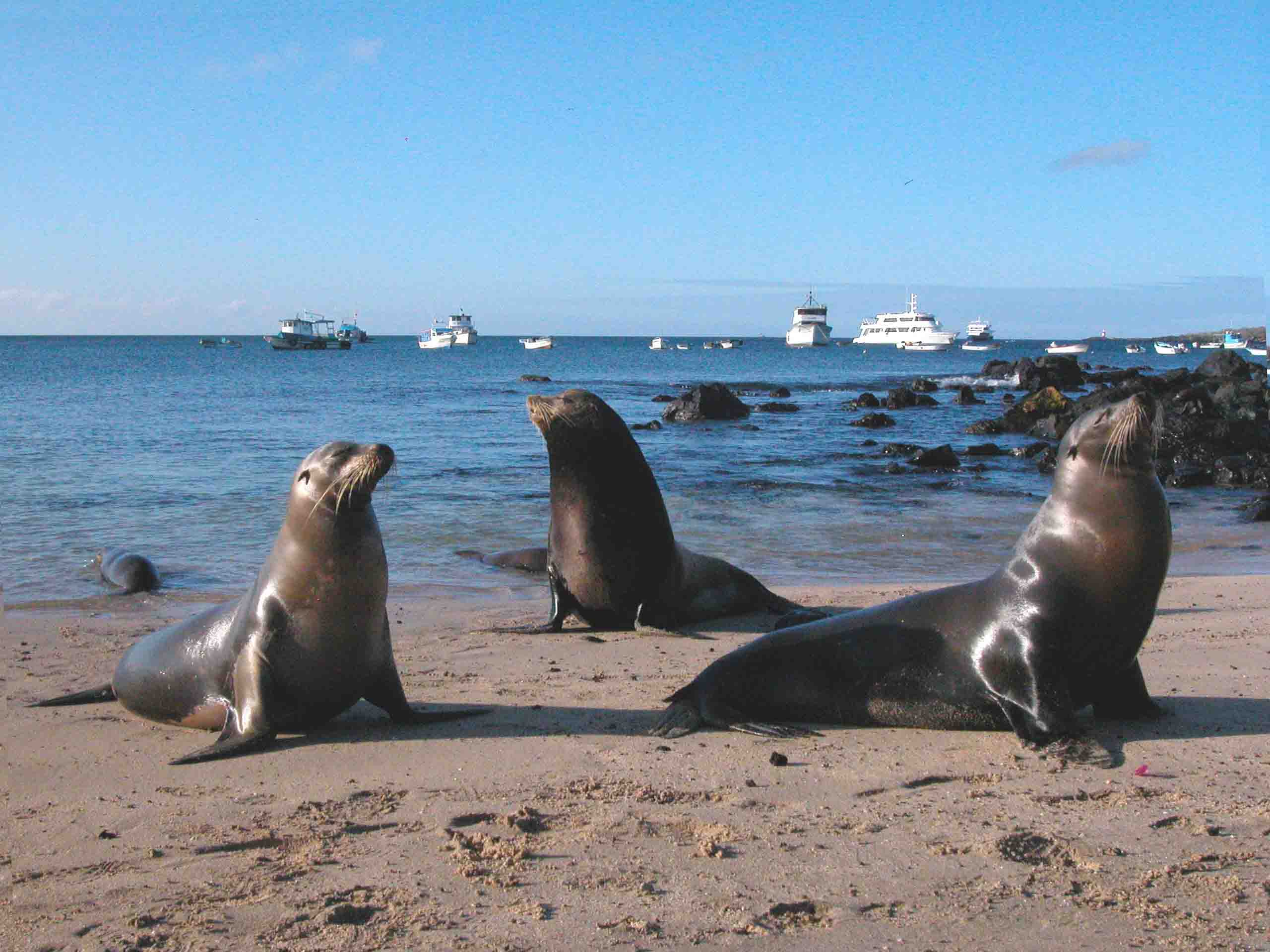 Explore Galapagos, Island by Island