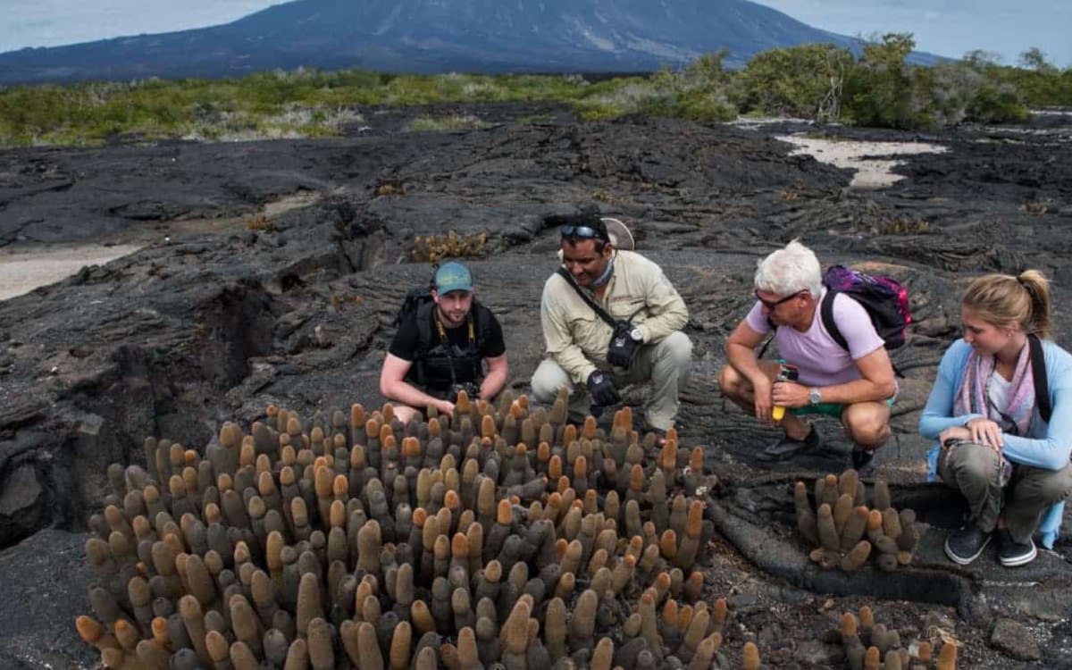 Galapagos | Ecuador | South America
