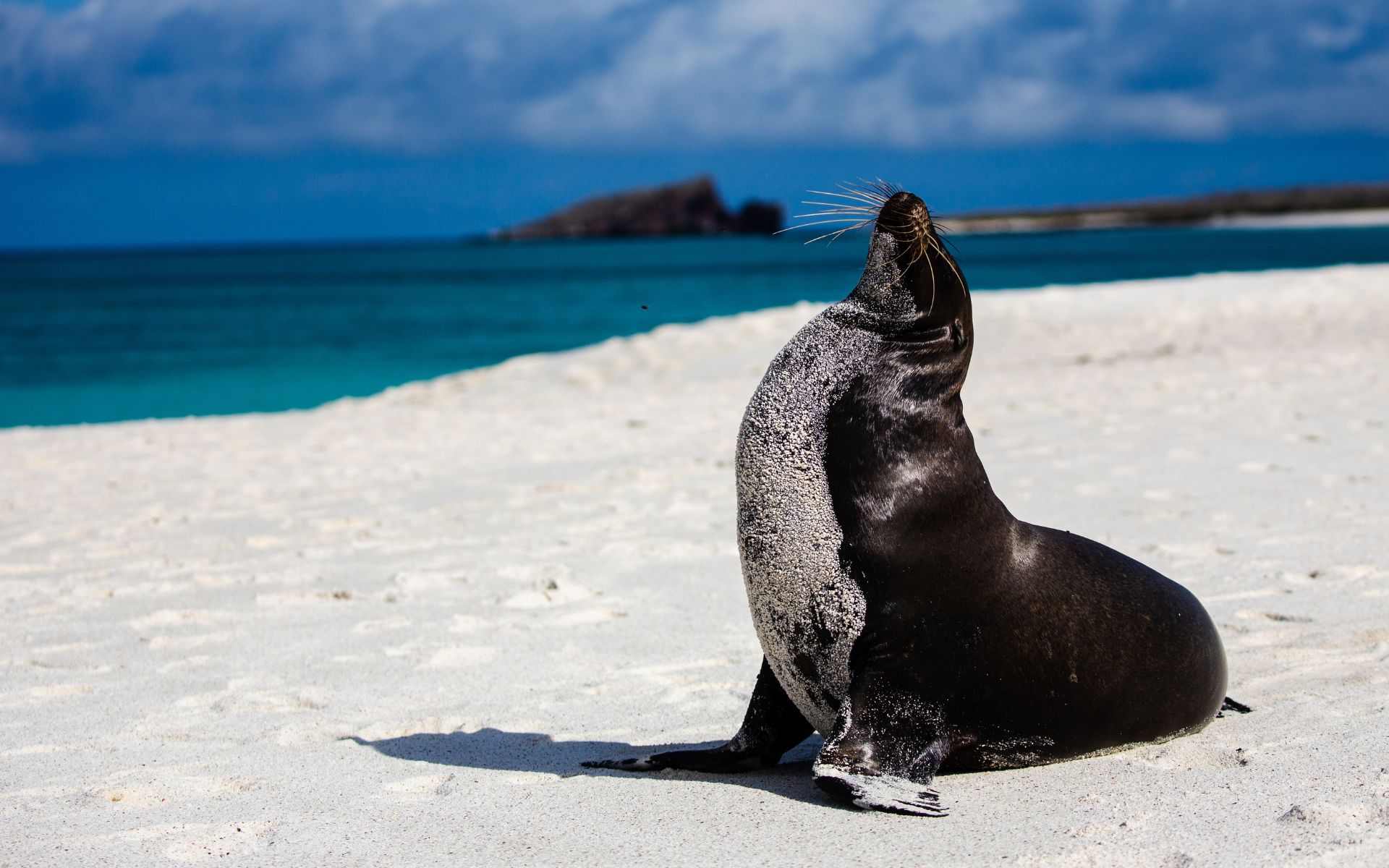 Galapagos Islands