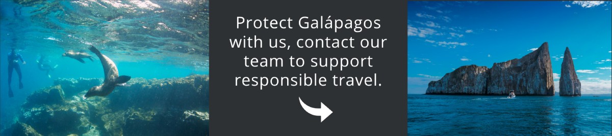 Come and visit Galapagos with us!