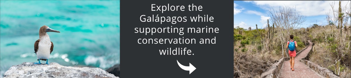 Visit Galapagos