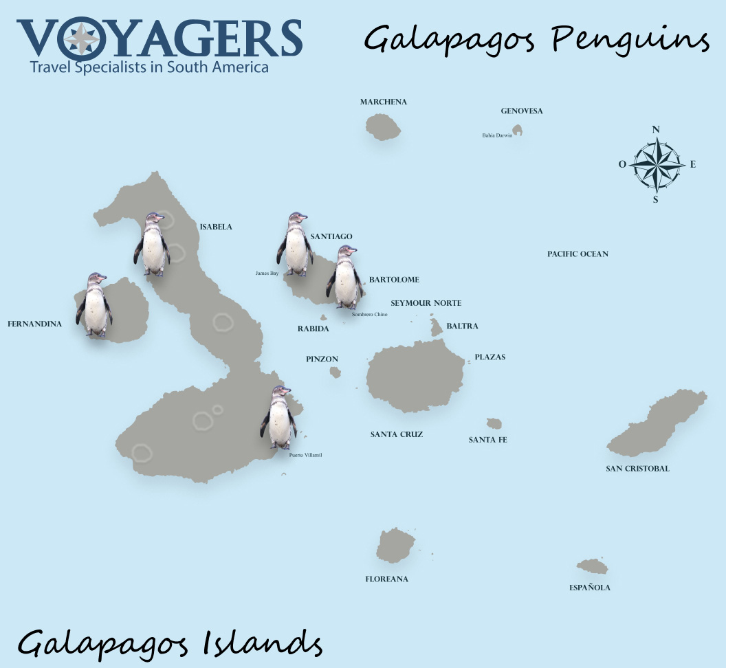Galapagos Penguins Map