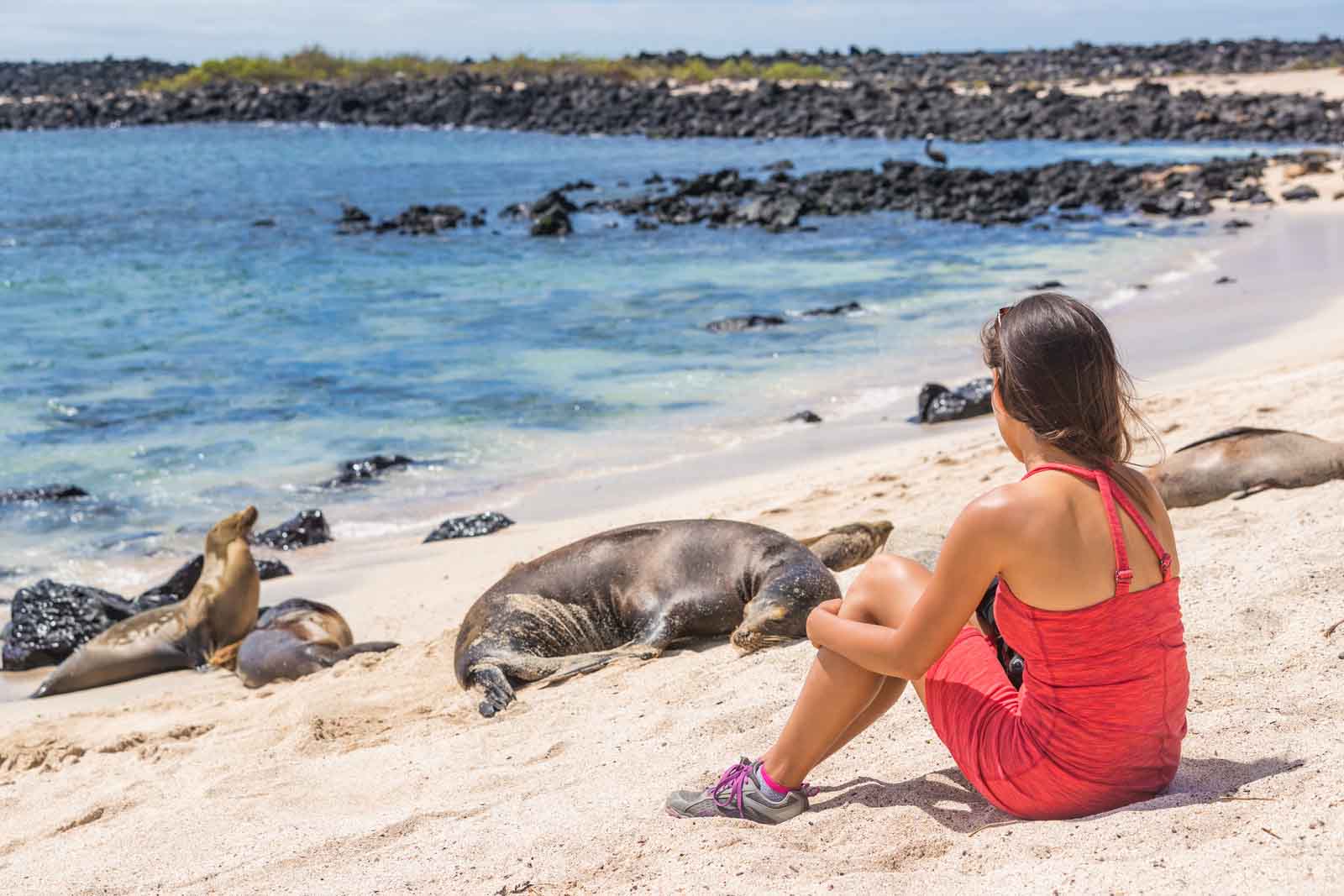 Galapagos Tourist | What to wear in Galapagos
