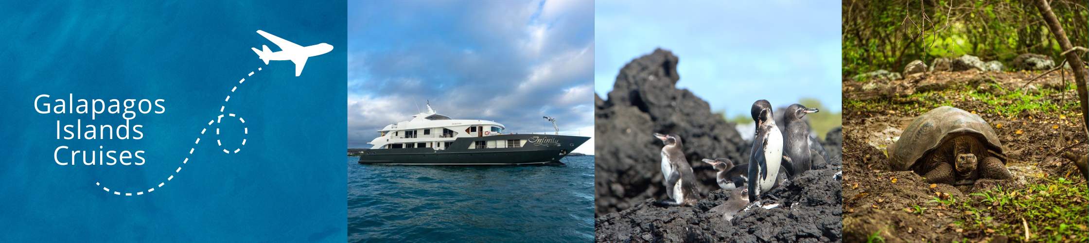Galapagos Island Cruises