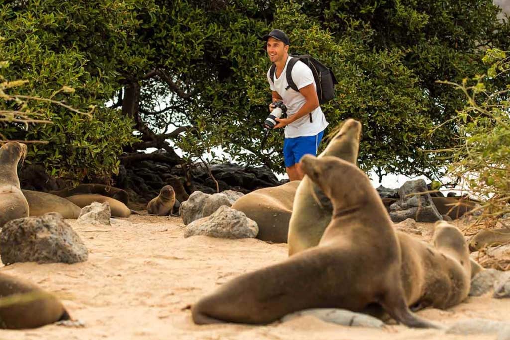 Galapagos tourism