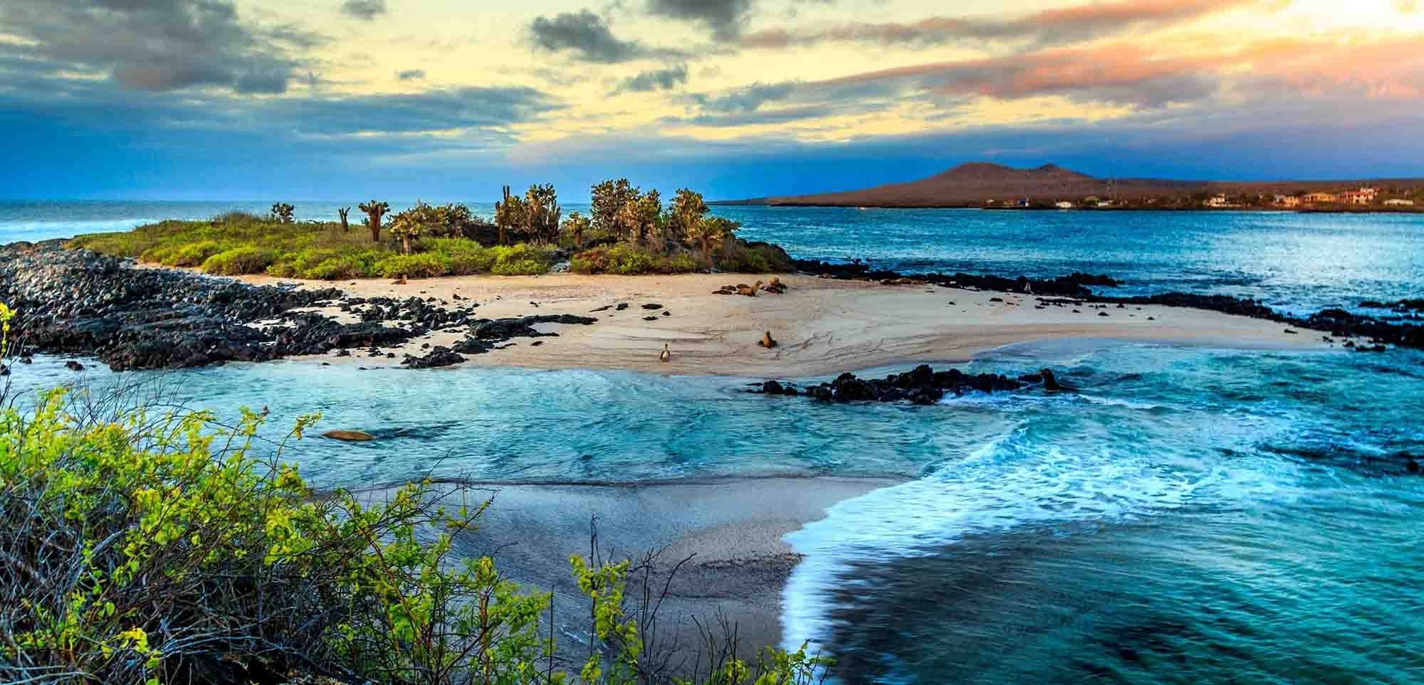 Galapagos islands