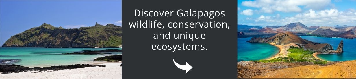 Visit Patagonia