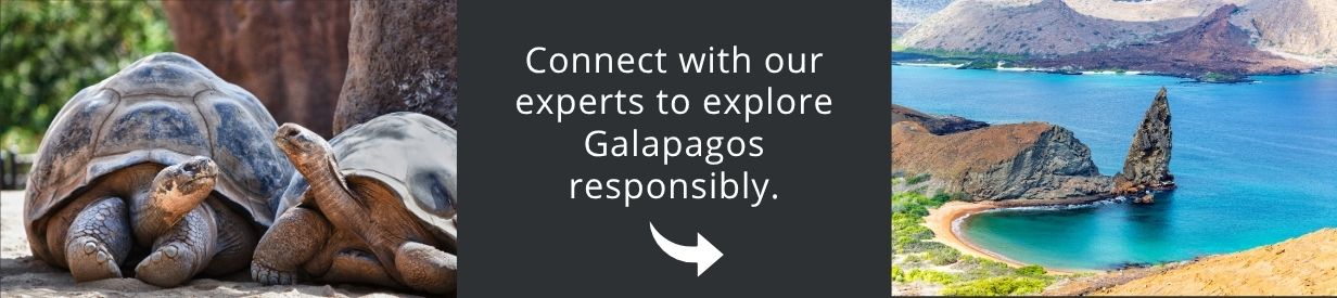 Come and visit Patagonia with us!