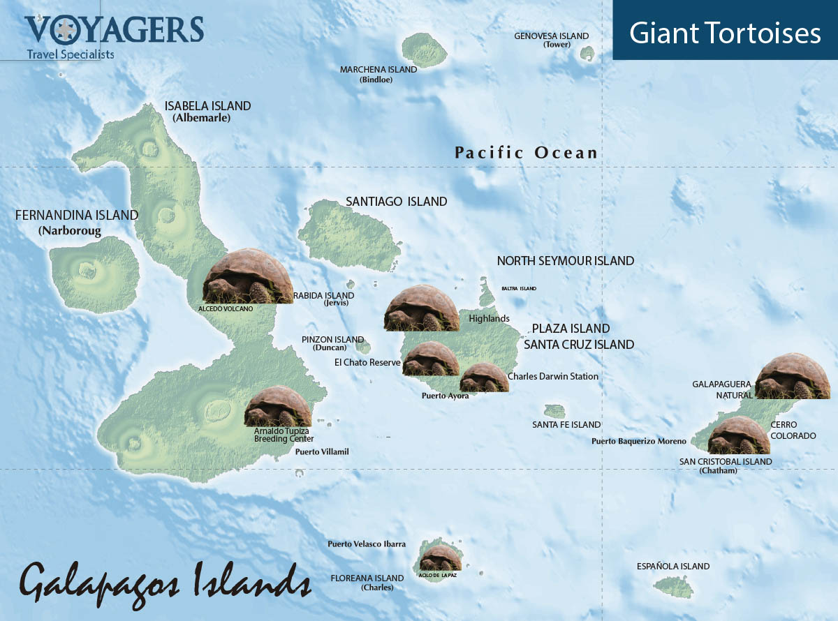 Galapagos Giant Tortoise Map