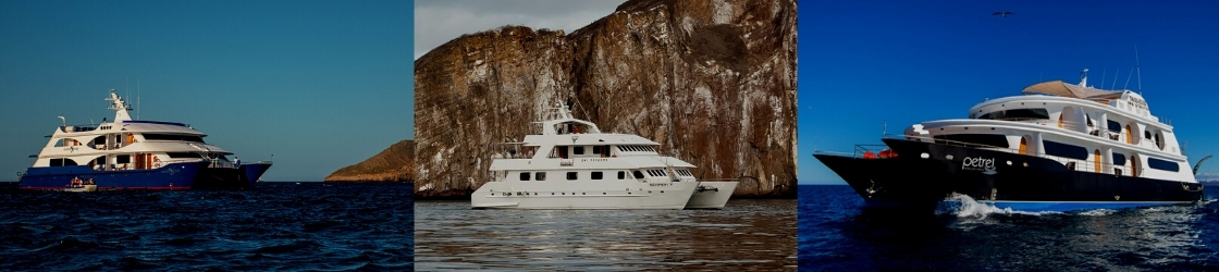 Galapagos luxury cruises