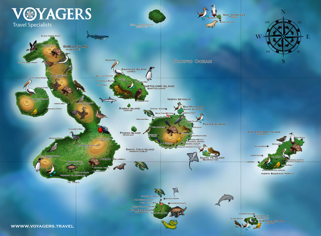 Galapagos Islands Maps | Galapagos Cruises