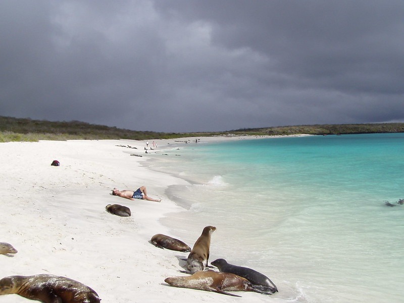 Gardner Bay | Española Island | Galapagos