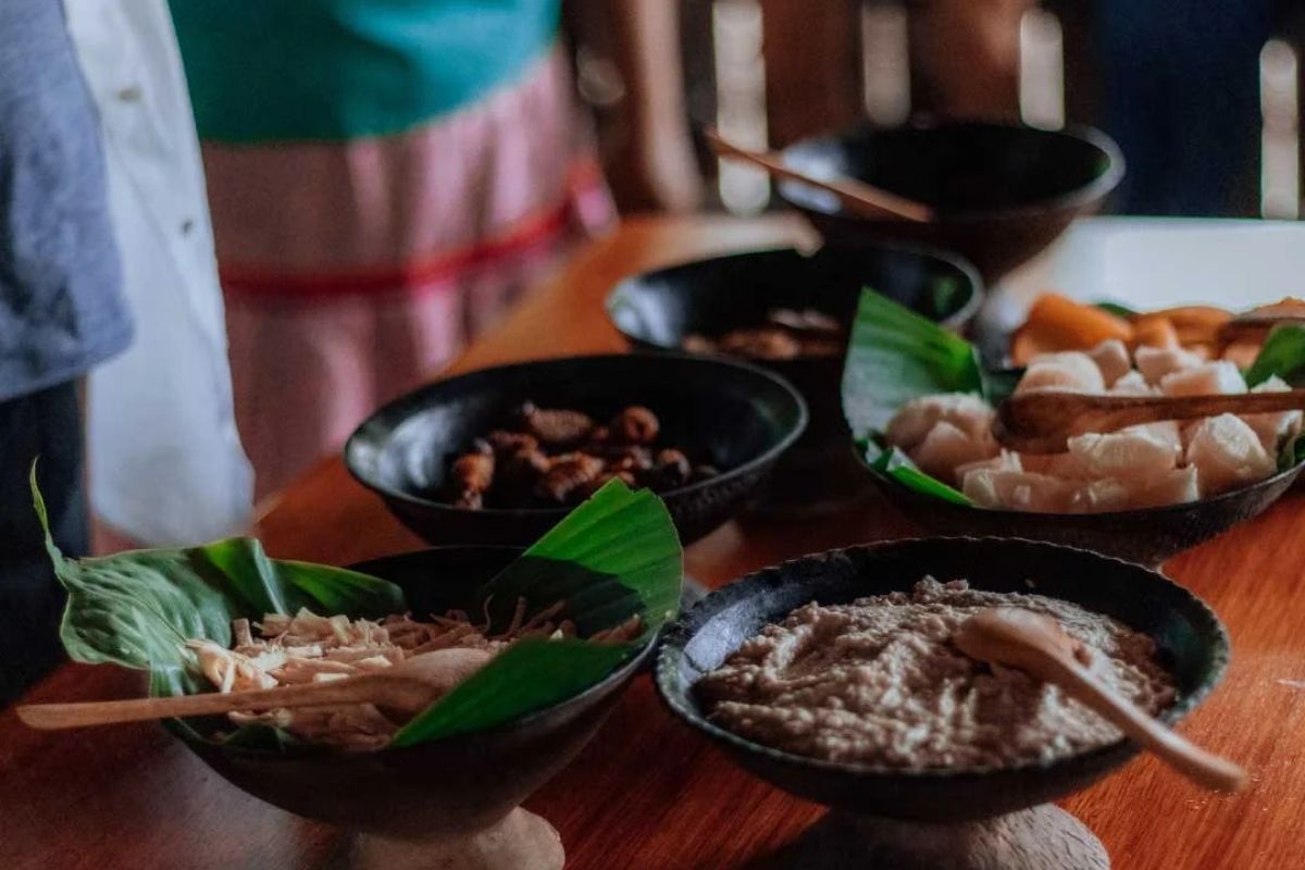Napo Wildlife Center | Amazon | Ecuador