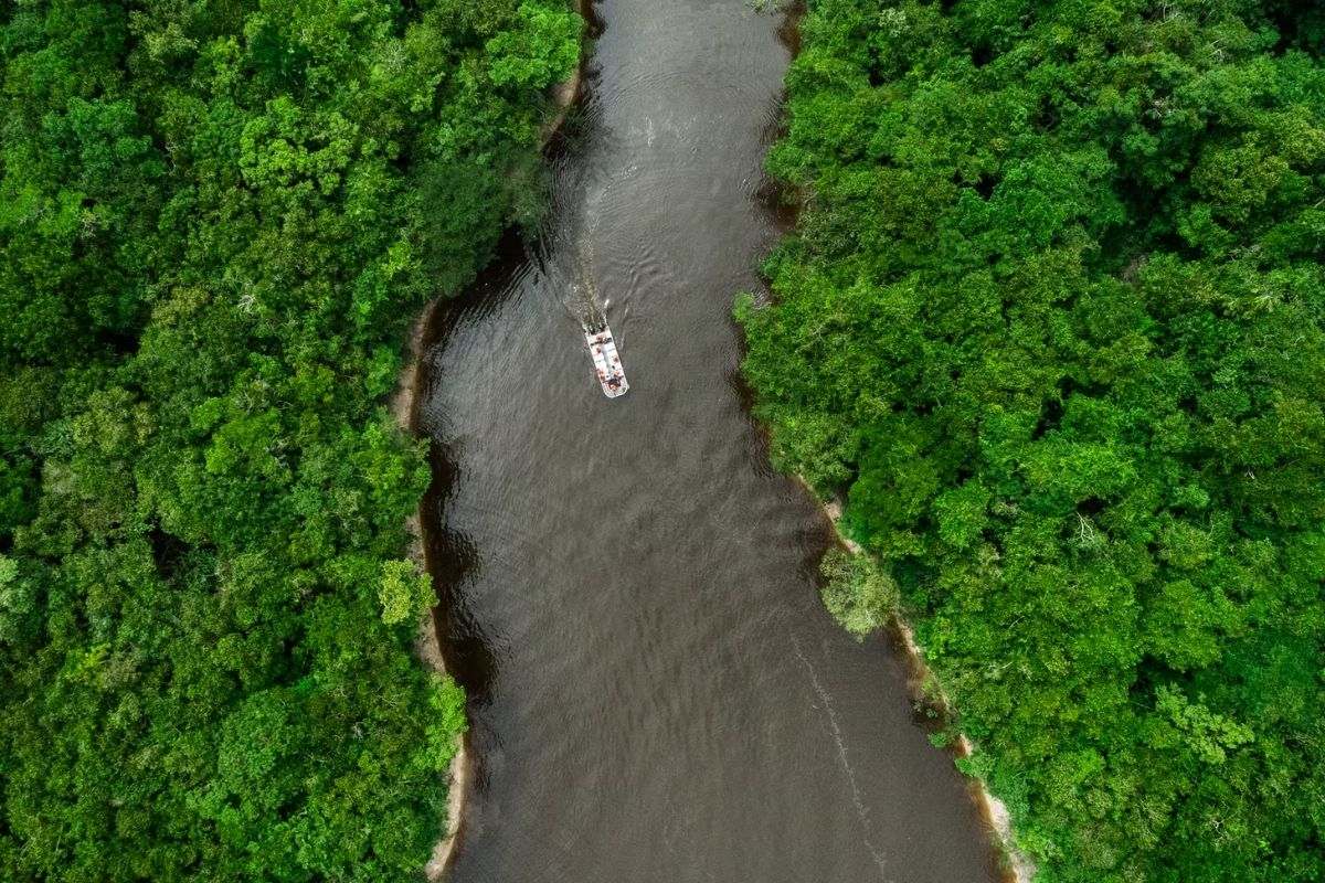 Grand Amazon Cruise | Brazil | South America