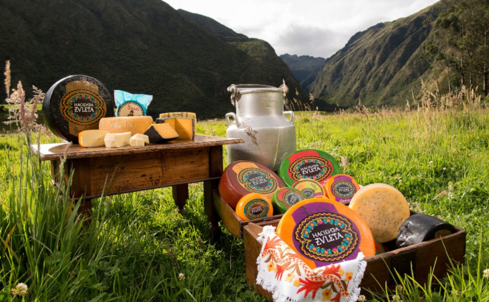 Hacienda Zuleta together with Fundación Galo Plaza in Ecuador