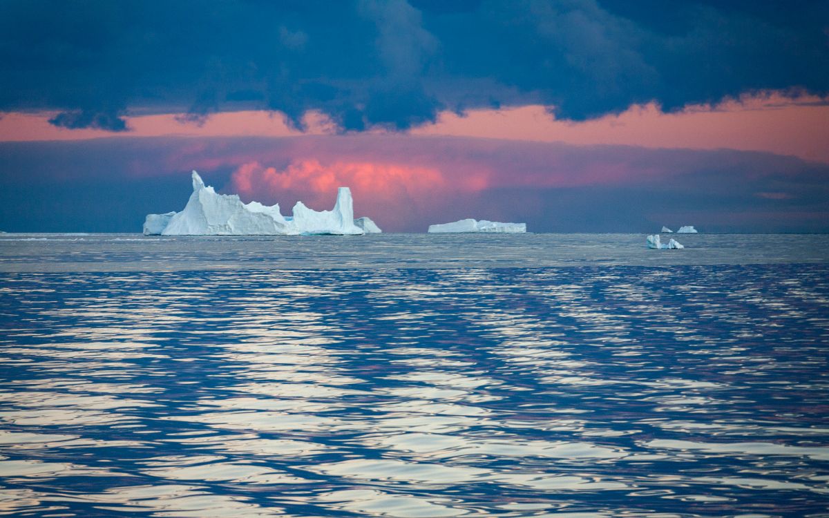 Icebergs in the Drake Passage, Antarctica