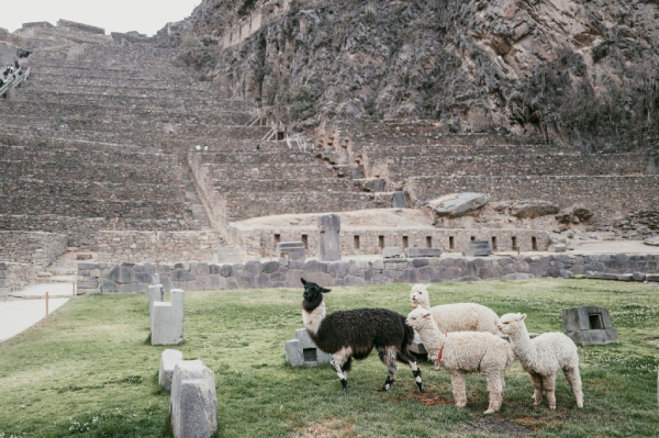 Inca Empire Ollantaytambo - Peru