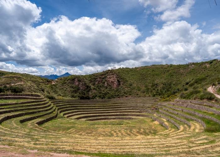 Inca Cultives | Peru | South America