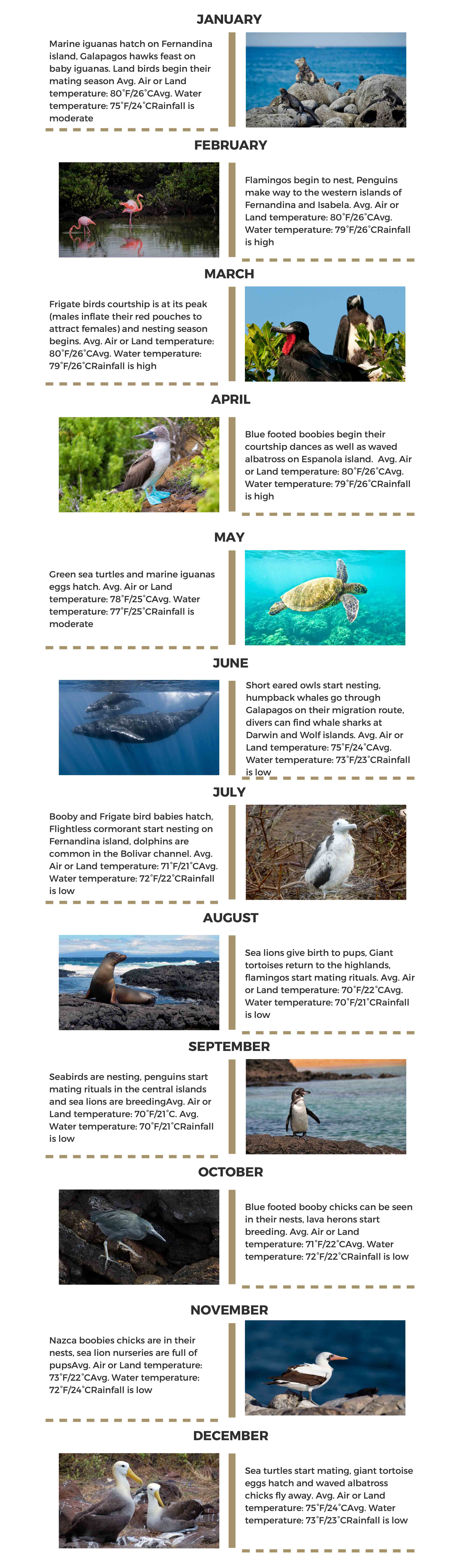 Galapagos islands Infographic
