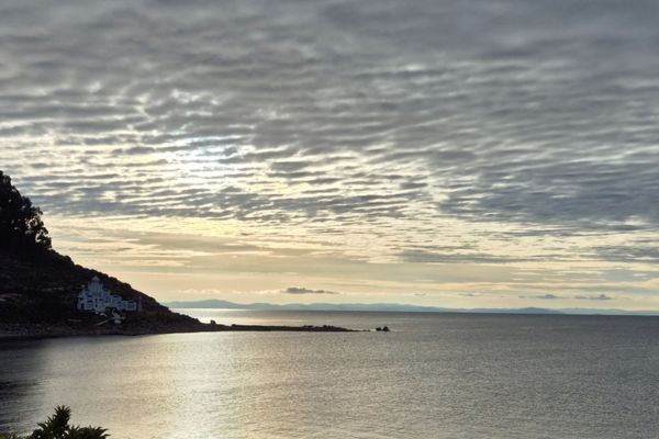 Juan Jose | Amantica Lodge | Peru