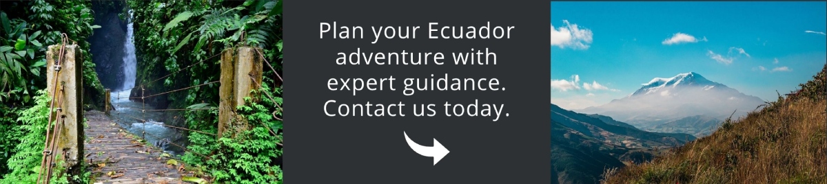 Come and visit Ecuador with us!