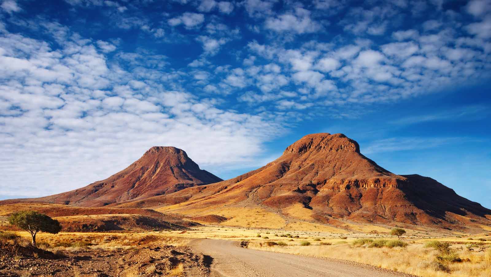 Desert | Kalari | Africa