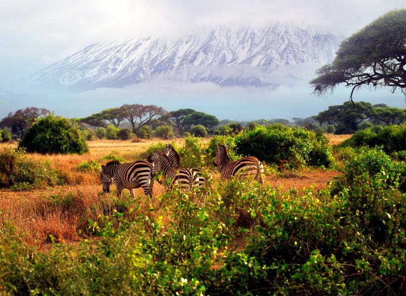 Kenya | Africa