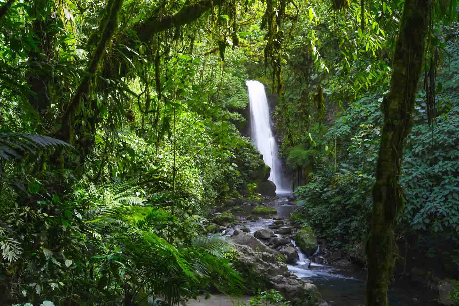 La Paz waterfall | Costa Rica