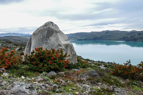 Lake Nordenskjold - Canva - Stefano Barzellotti