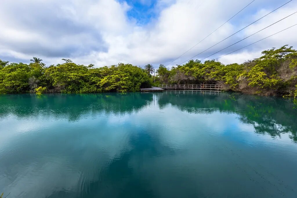 Ninfas Lagoon | Galapagos